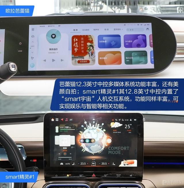 内宠爱（婚内宠爱），芭蕾猫和smart谁更香（大宠爱是内外驱吗）