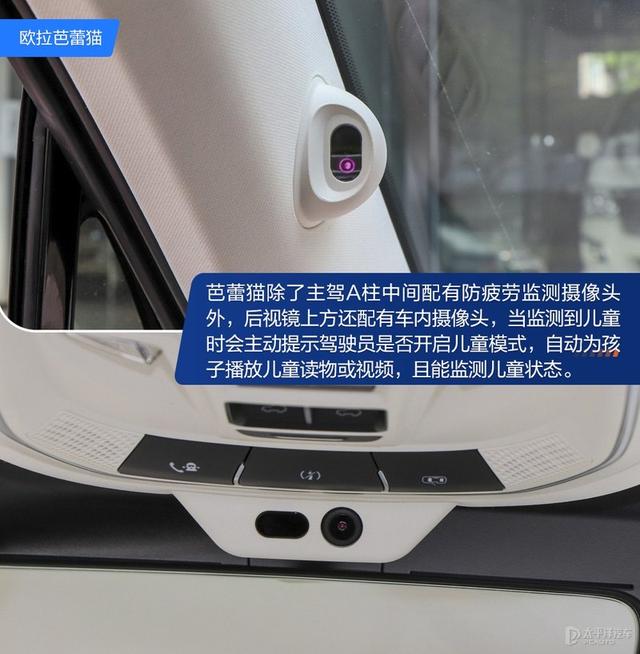 内宠爱（婚内宠爱），芭蕾猫和smart谁更香（大宠爱是内外驱吗）
