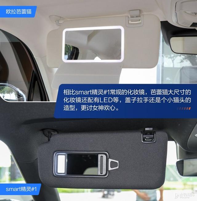内宠爱（婚内宠爱），芭蕾猫和smart谁更香（大宠爱是内外驱吗）