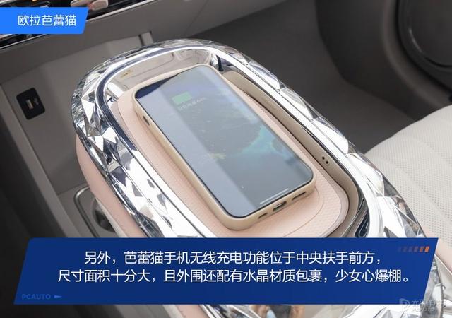 内宠爱（婚内宠爱），芭蕾猫和smart谁更香（大宠爱是内外驱吗）
