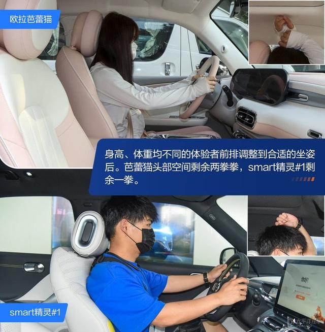 内宠爱（婚内宠爱），芭蕾猫和smart谁更香（大宠爱是内外驱吗）