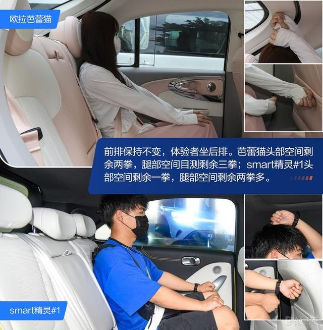 内宠爱（婚内宠爱），芭蕾猫和smart谁更香（大宠爱是内外驱吗）