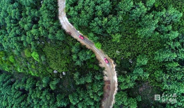 春城是哪个城市，山城是哪个城市（昆明，特大城市）