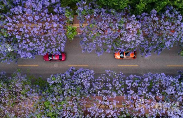 春城是哪个城市，山城是哪个城市（昆明，特大城市）