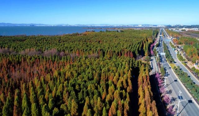 春城是哪个城市，山城是哪个城市（昆明，特大城市）