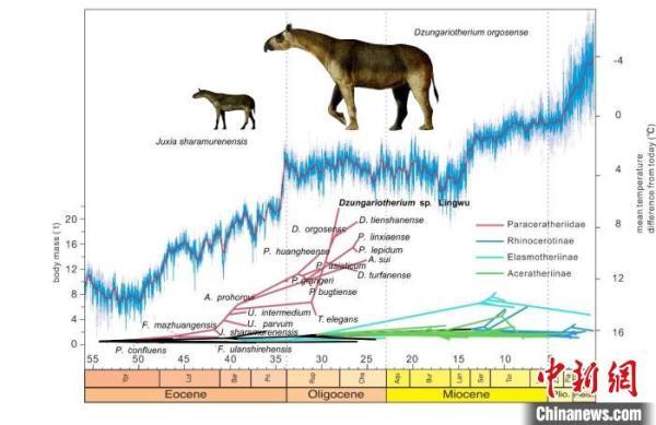 梦见动物攻击自己是什么意思，梦见动物攻击自己是什么意思周公解梦（远古巨犀为何向越大越重演化）