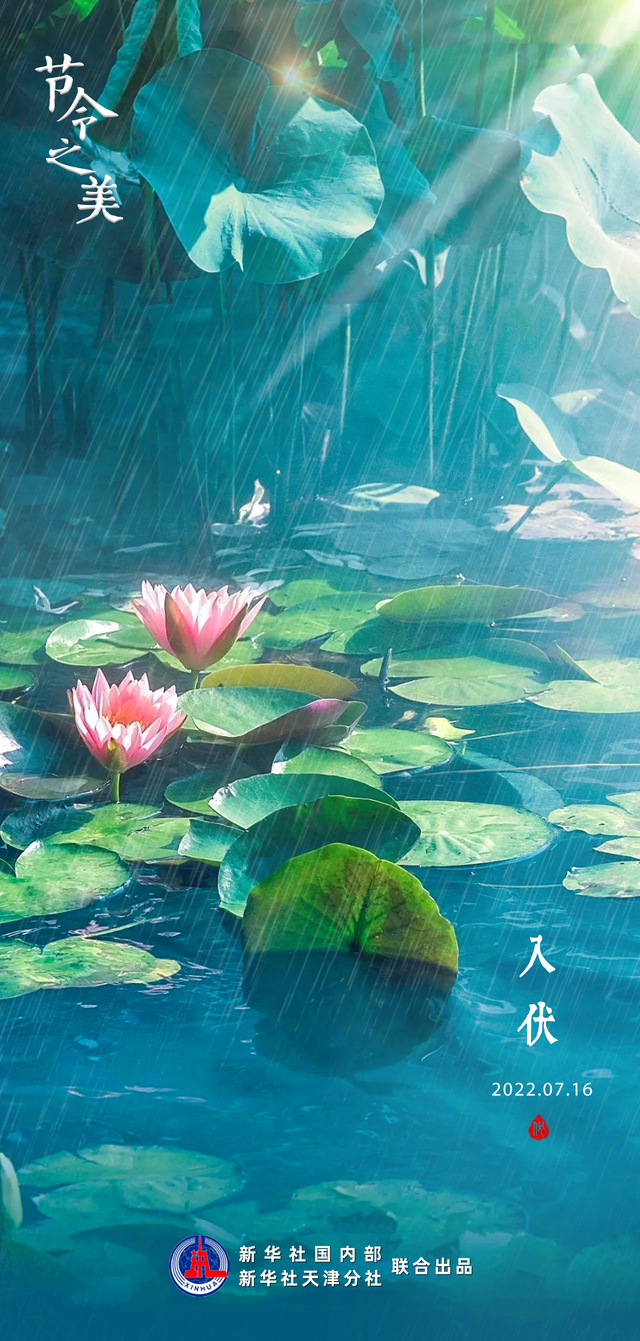 夏天伏天一共多少天，2022年三伏天时间表查询（16日“入伏”伏天长达40天）