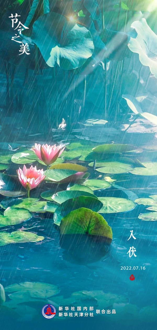 伏天一共有多少天，伏天一共多少天（16日“入伏”伏天长达40天）