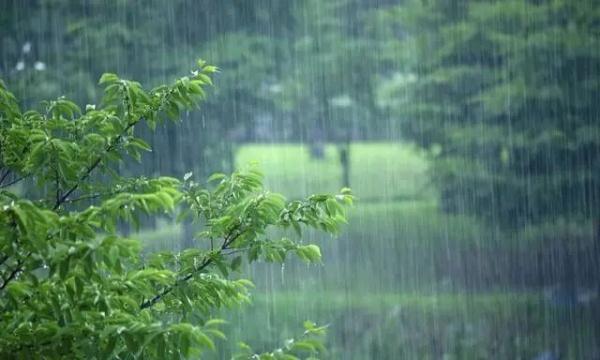 初伏是什么意思，初伏,中伏,末伏,出伏是什么意思（今日入伏 遇上下雨好不好）