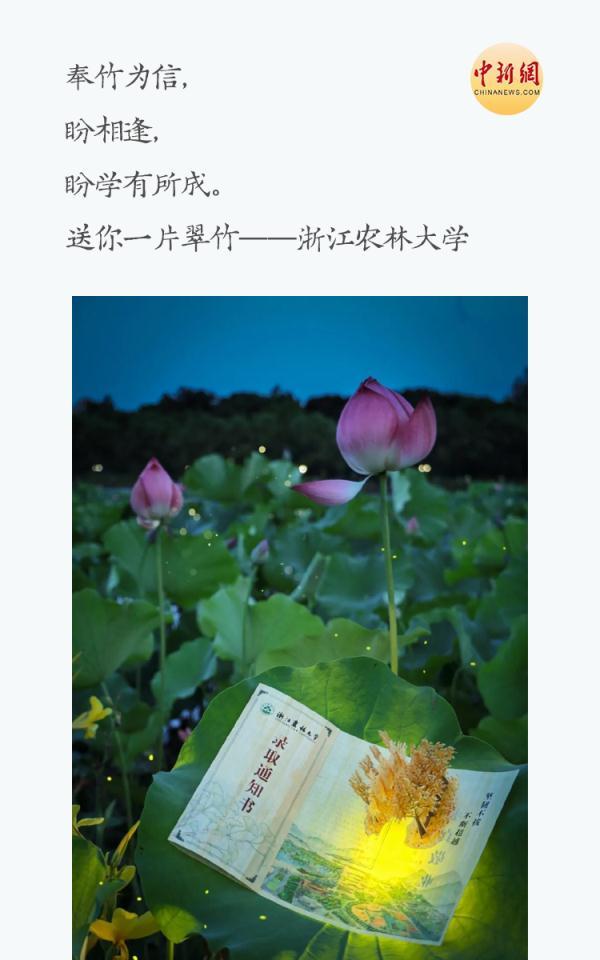 实名羡慕是啥意思，实名羡慕是什么意思（从不只是薄薄一张纸）