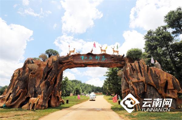 吃黑森林是什么意思（昆明黑森林松鹿部落乡村旅游度假区试运营）