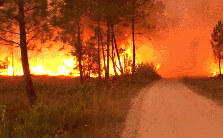 2019年大事件汇总，2019年发生的重大事件（冰川崩塌、红色预警......全球进入“火炎焱燚”模式）