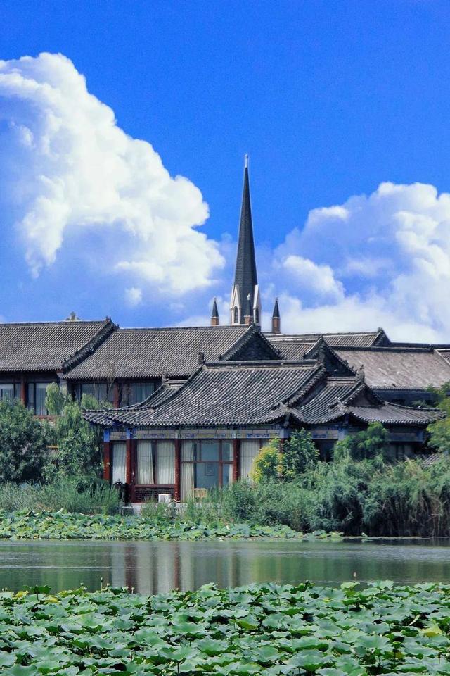 莲花和荷花一样吗，莲花和荷花一样吗古诗（七月盛夏，聊城的赏荷攻略来了）