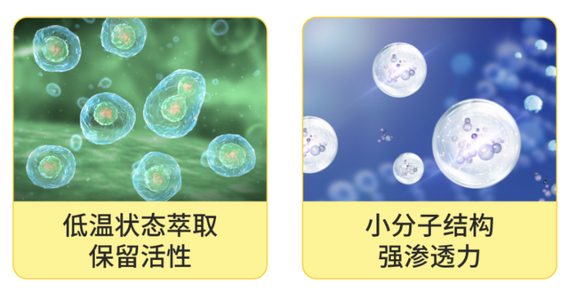 艾灸液的作用以及功效，艾灸液的功效与作用（三伏天驱湿寒，涂一涂，好舒坦）