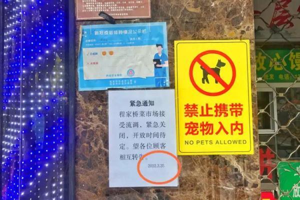 上海菜市场摊位，菜市场摊位一般多少钱（老年人凌晨4点在马路菜场人挤人……）