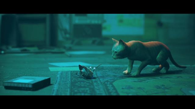 迷失大结局，迷失大结局为什么没有麦克（局外喵拯救孤独的世界）