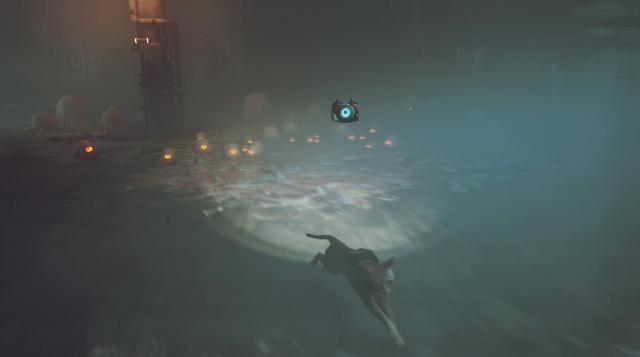 迷失大结局，迷失大结局为什么没有麦克（局外喵拯救孤独的世界）