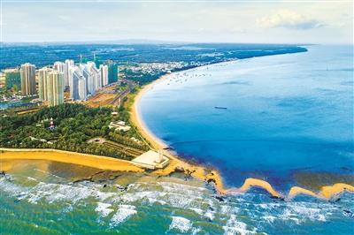 三亚城市职业学院，2022三亚城市职业学院在海南录取分数线及招生计划（深度关注丨深挖圈海占地背后腐败）