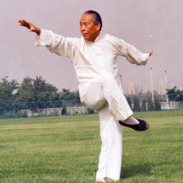 门字里面一个一，门字里面一个一字读什么（出生就能打丨陈式太极拳传人陈斌VS功夫演员吴樾）