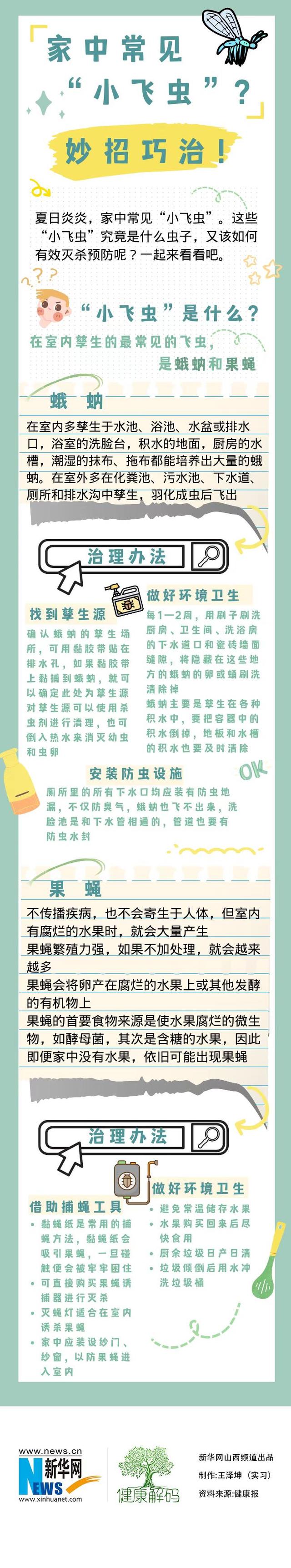 豆子生飞虫满屋子都是怎么办（家中常见“小飞虫”？妙招巧治）