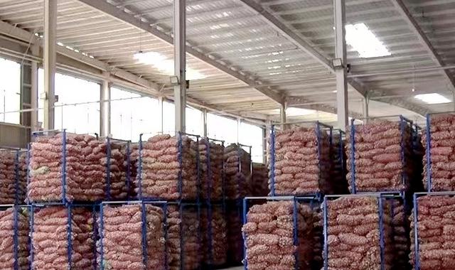 杞县大蒜今日行情最新价格，南京一开发商推出西瓜换房（河南杞县形成大蒜产业链引领乡村振兴之路）