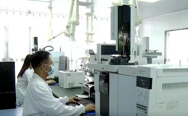 杞县大蒜今日行情最新价格，南京一开发商推出西瓜换房（河南杞县形成大蒜产业链引领乡村振兴之路）