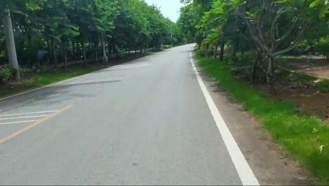 魔兽世界怀旧服海浪蟹在哪，魔兽怀旧海浪蟹在哪儿（滞留涠洲岛的八天八夜）