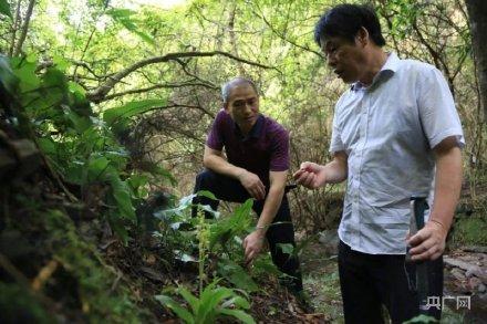 江西什么源(江西婺源县是哪个市)