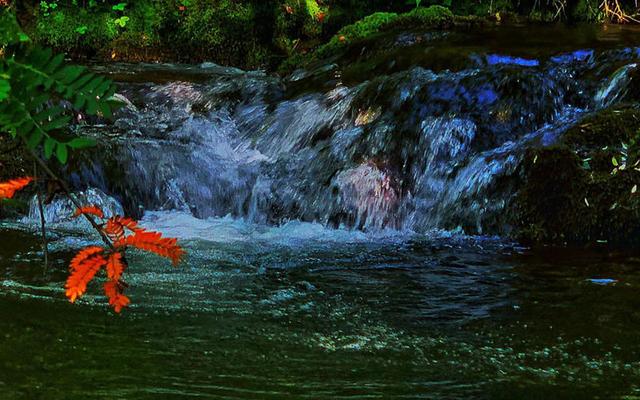 六盘山在哪里，六盘山在哪里属于哪个省（人民巷头条丨去六盘山）