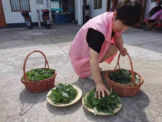 二十四节气知识，二十四节气知识详解（二十四节气）