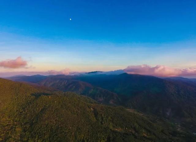 亚龙湾热带天堂森林公园，亚龙湾热带天堂森林公园游玩攻略（你就是我要找的避暑好去处）