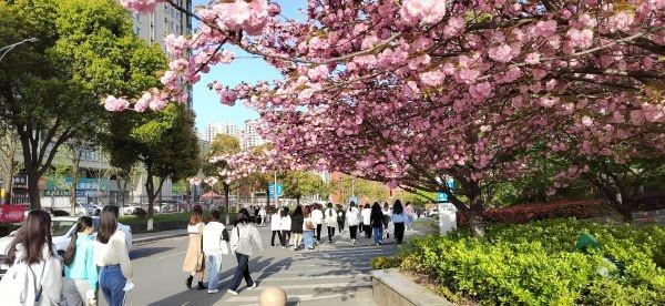 湖北工业职业技术学院，湖北工业职业技术学院王牌专业有哪些及专业排名（这所高校还是有名的赏樱圣地）