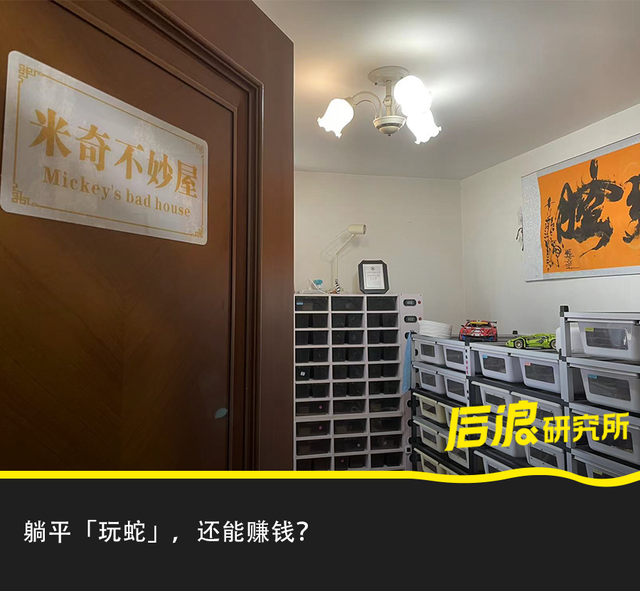 3年「没上班」，我靠养蛇月入十万