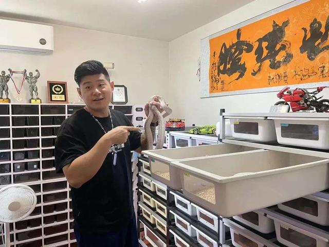 3年「没上班」，我靠养蛇月入十万