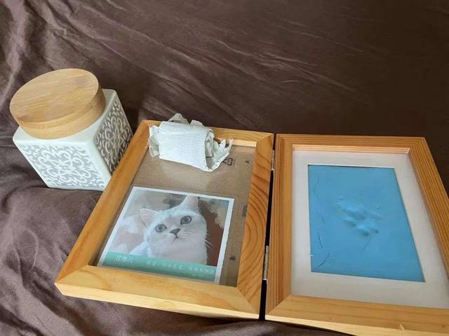 3年「没上班」，我靠养蛇月入十万