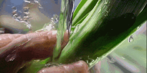 500ml等于多少克，1500ml是多少克（专家教你正确果蔬清洗方法）