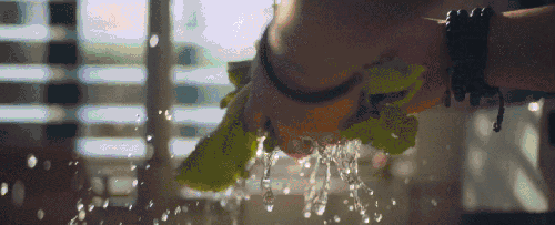 500ml等于多少克，1500ml是多少克（专家教你正确果蔬清洗方法）