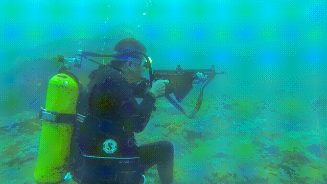 彪悍是什么意思，BH是什么意思啊（特种vs特战：奇“火”打击巭）