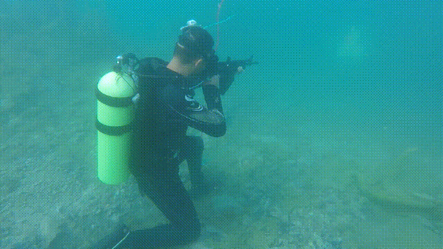 彪悍是什么意思，BH是什么意思啊（特种vs特战：奇“火”打击巭）