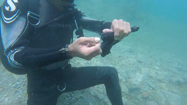 彪悍是什么意思，BH是什么意思啊（特种vs特战：奇“火”打击巭）