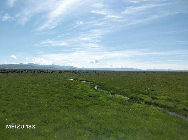 陇南甘南自驾游游记，<二>小姑娘言出秀口