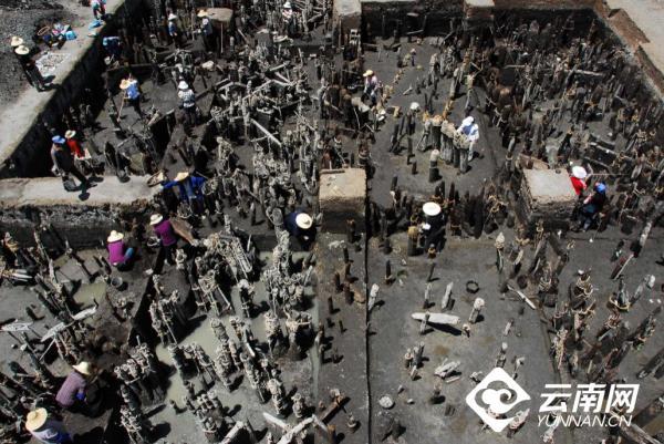 2021吉祥小牛? 木～，微信头像，2021吉祥小牛? 木～（文明之美看东方丨这也是云南）