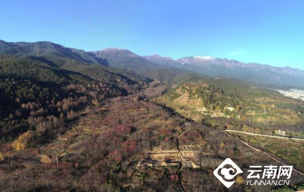 2021吉祥小牛? 木～，微信头像，2021吉祥小牛? 木～（文明之美看东方丨这也是云南）