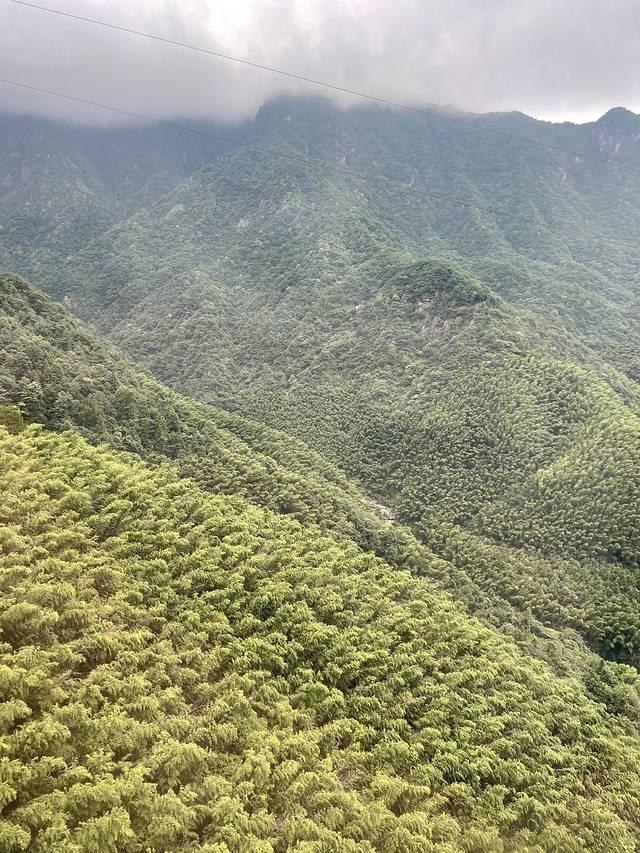 武功山旅游攻略，武功山旅游攻略一日游（江西武功山\u0026仙凤三宝亲子游记）