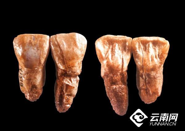 2021吉祥小牛? 木～，微信头像，2021吉祥小牛? 木～（文明之美看东方丨这也是云南）