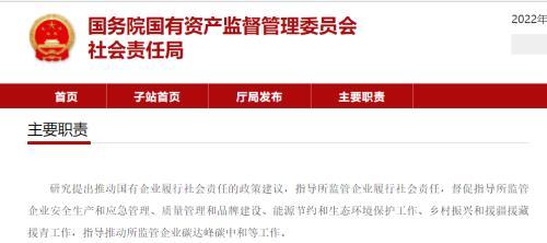 csr是什么意思，card是什么意思（CSR将推动企业服务国家战略）