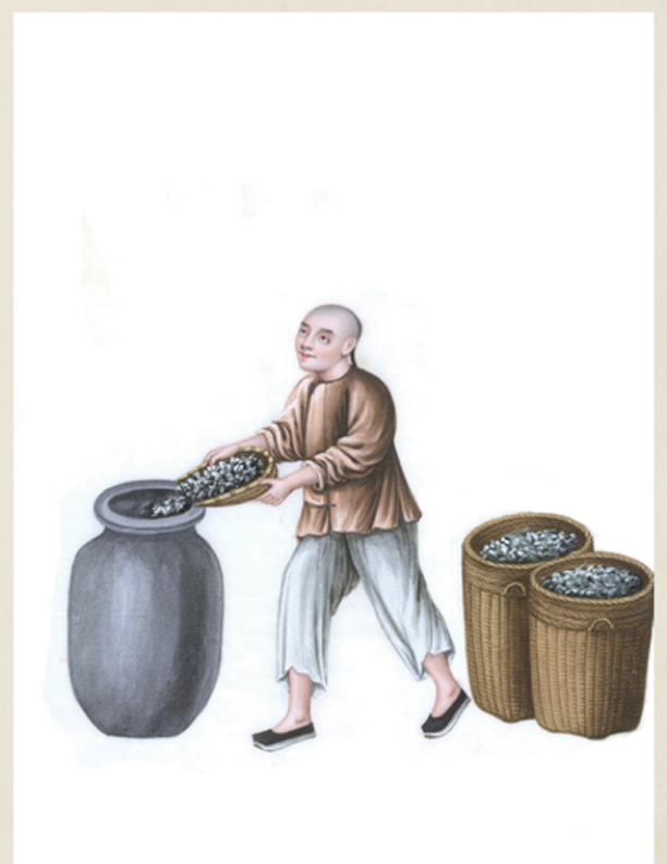 1是攻0是受是什么意思，1和0是什么意思（玻璃是如何被制作出来的呢）