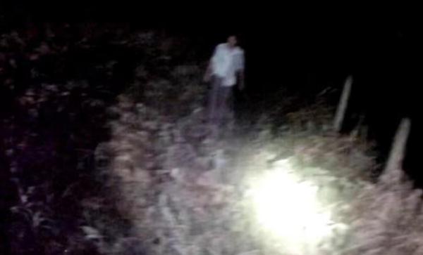 什么什么什么地，什么什么什么地的成语（酒驾男子藏进玉米地：没跑）