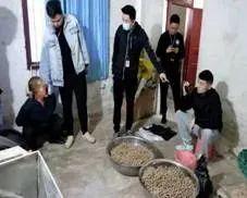 生粉和淀粉一样吗，淀粉和生粉是一样的吗（这些“神药”实为淀粉）