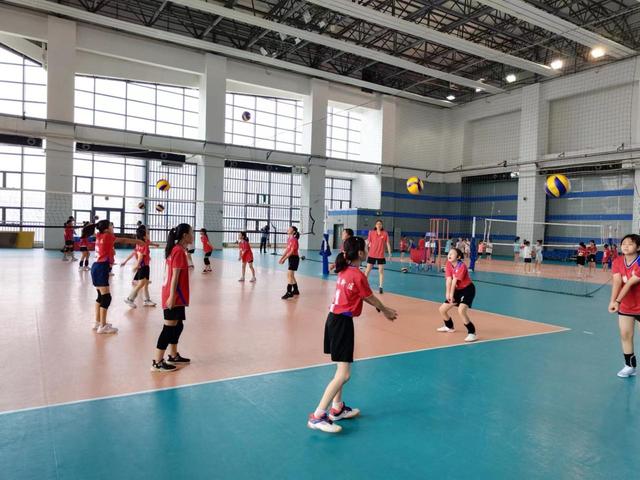 软式排球，滨海新区教育体育局组建“校园排球联盟”打造未成年人冠军“摇篮”